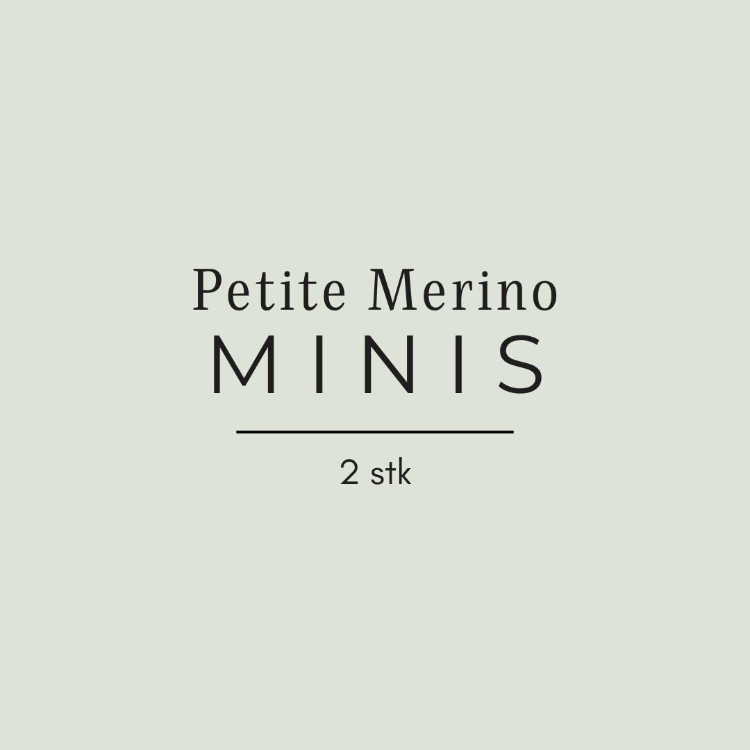 Petite Merino Minis (2 stk) - Håndfarget garn